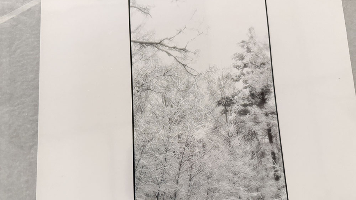 Winter © Julius Lester   $125