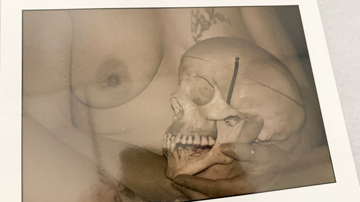 Skull © 1966 Julius Lester   $150