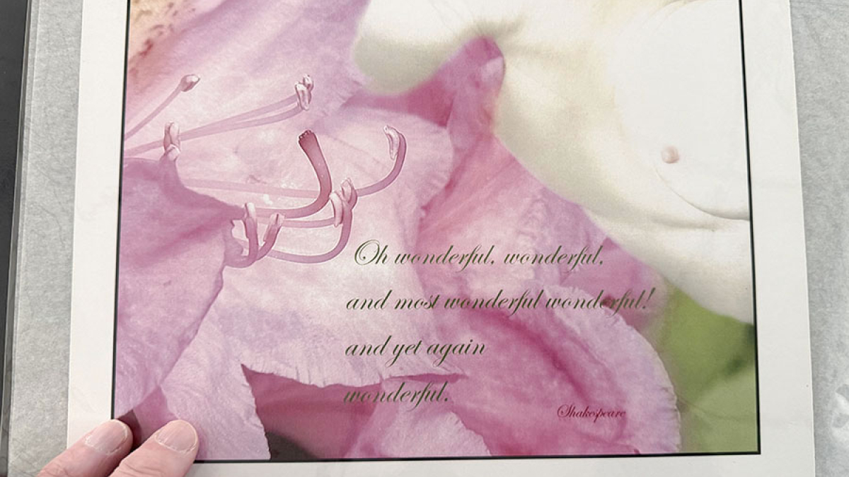 Oh, Wonderful © Julius Lester   $125