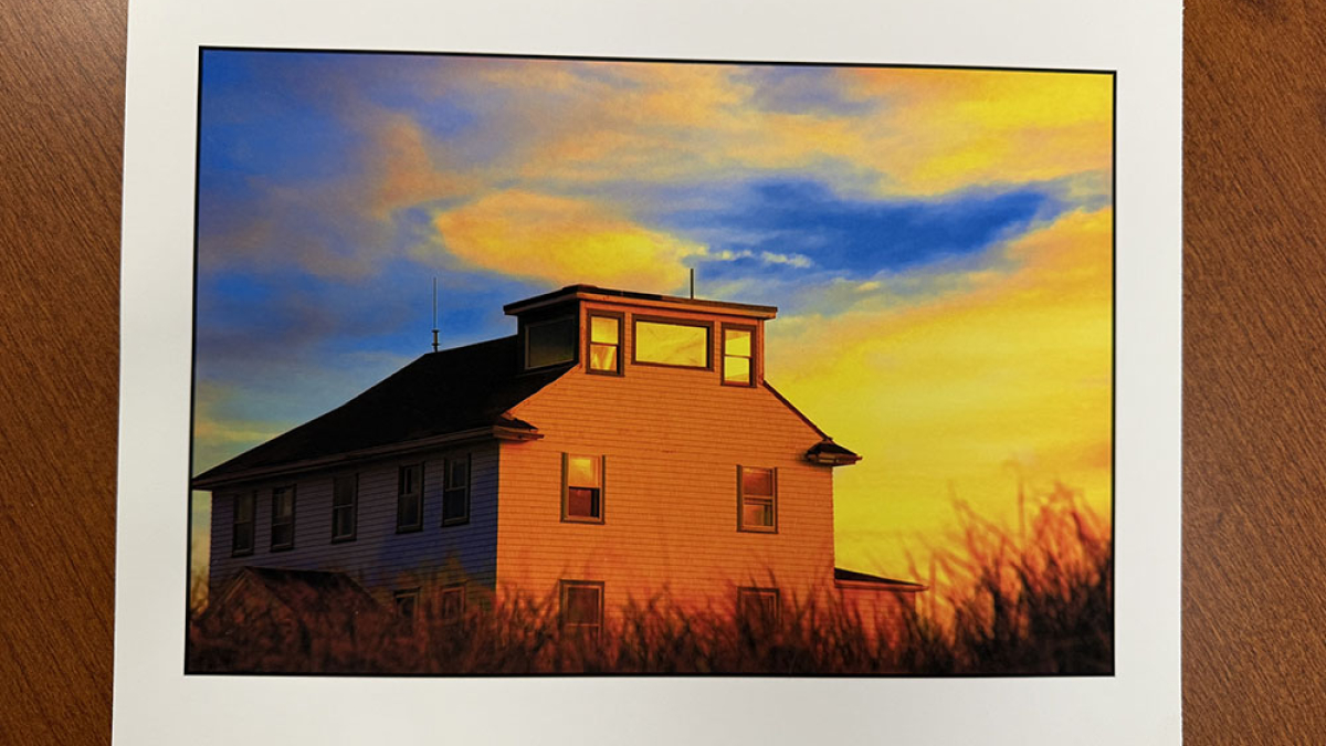 Race Point © Julius Lester   $125