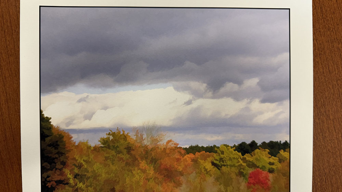 Autumn Landscape © Julius Lester   $125