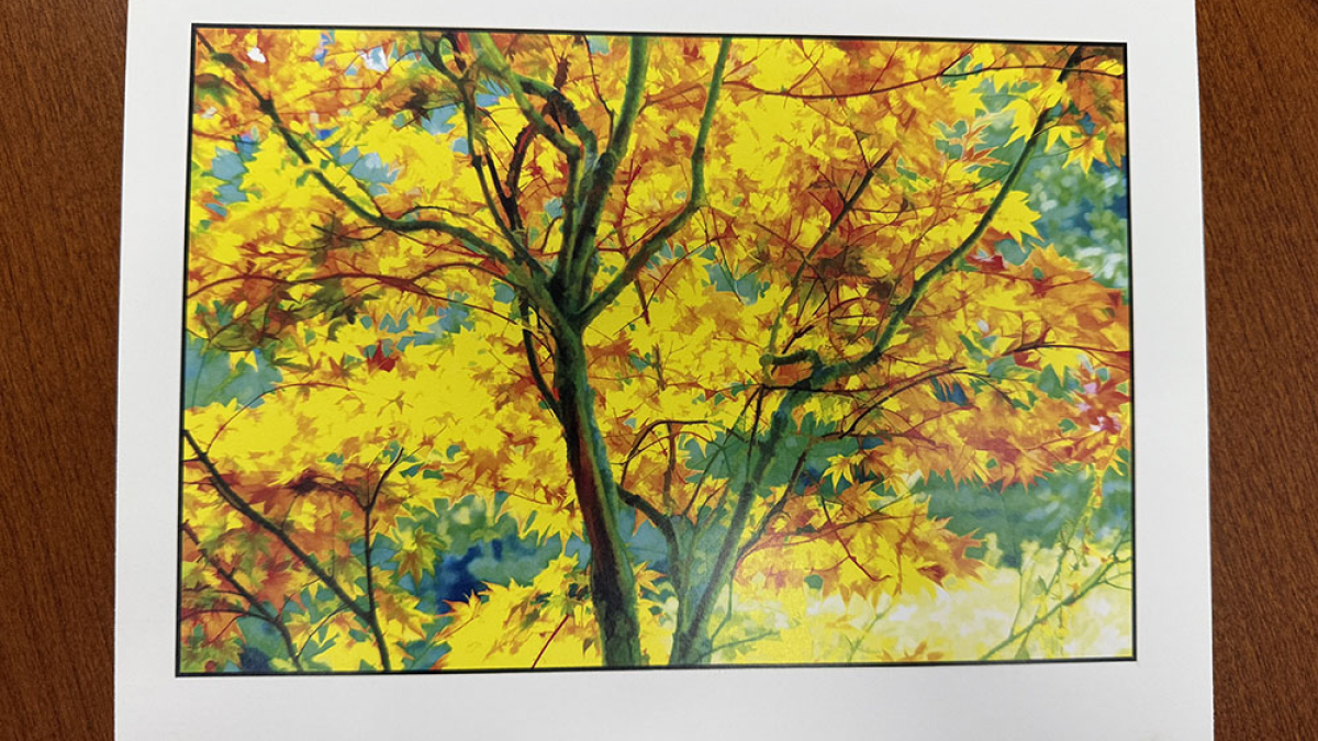 Autumn Galaxy © Julius Lester