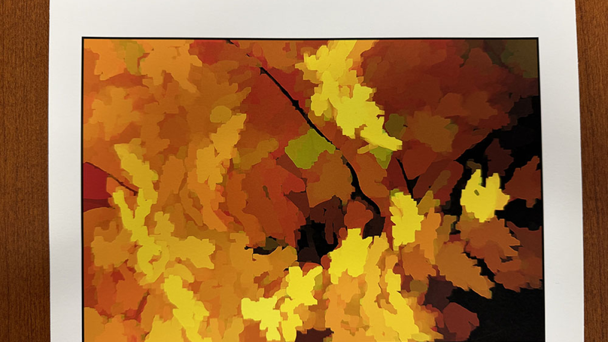 Autumn Color Dance © Julius Lester   $125