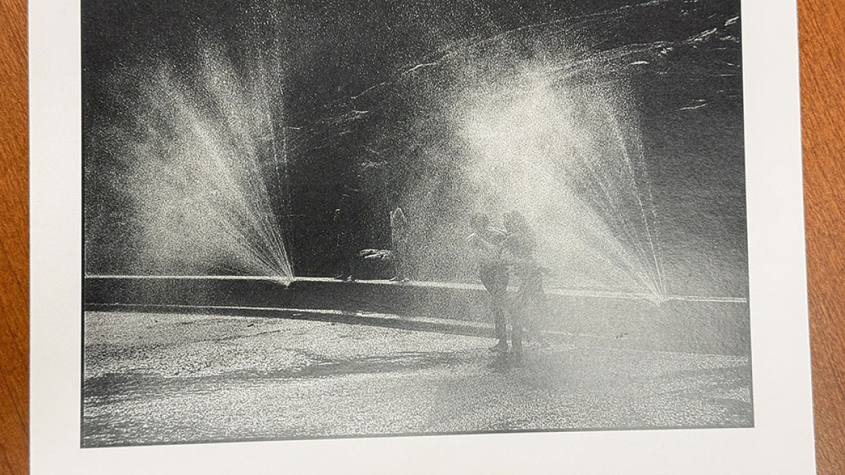 Central Park, NYC © 1966 Julius Lester   $150