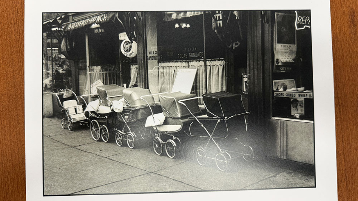 Carriages, NYC © 1966 Julius Lester   $150