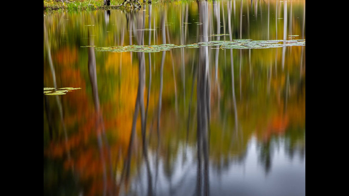 Knights Pond © 2022 Mark Lindhult