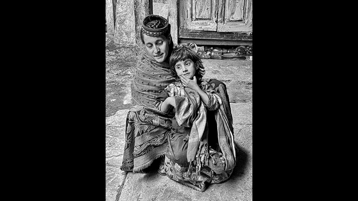 A Mother's Love © Barb Krawczyk