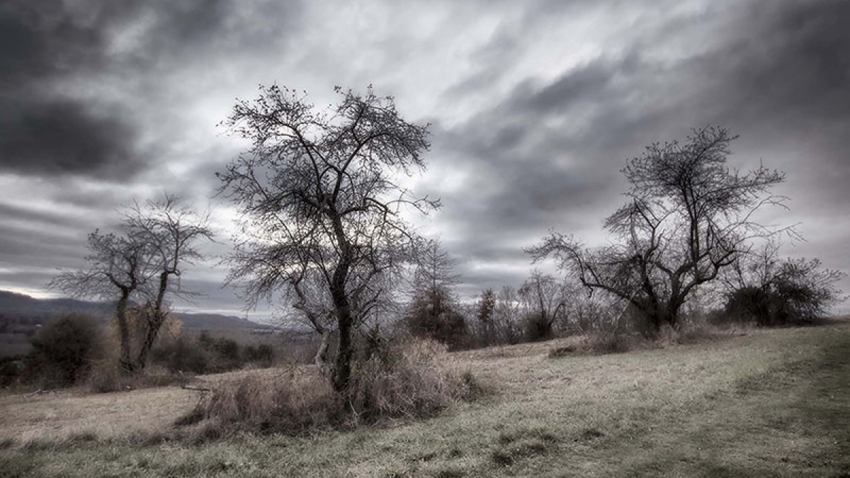 NOV 4 © 2018 Bernie Kubiak