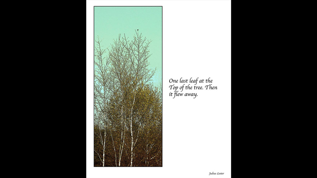 One Last Leaf © Julius Lester  (Photo Poem) only $300