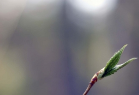 photo for Trust in ourself. It’s now or never.