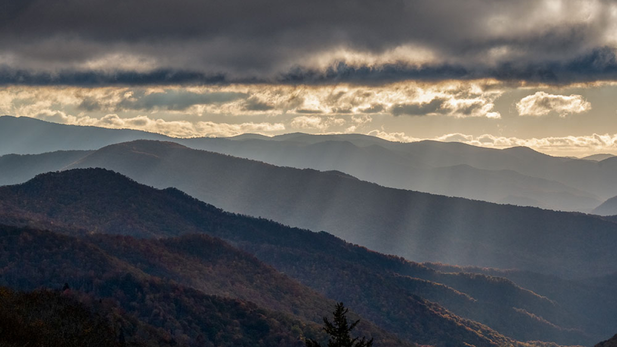 Look Out View 1 © 2022 Rosemary Polletta