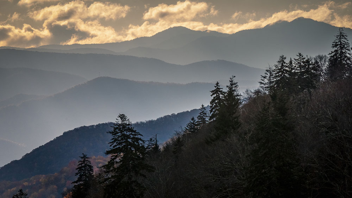 Look Out View 2 © 2022 Rosemary Polletta