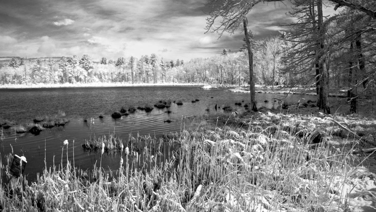 Last Snow of the Season © 2021 Jack Grimaldi 