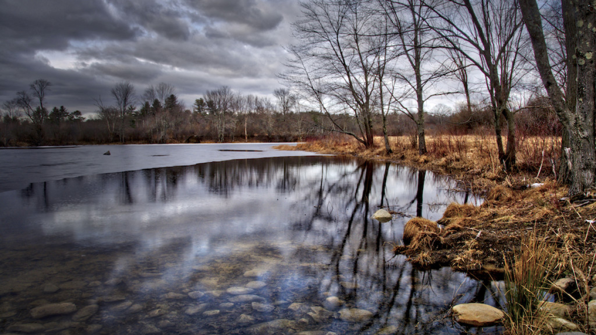 Wentworth Farm Pond © 2018 Jack Grimaldi