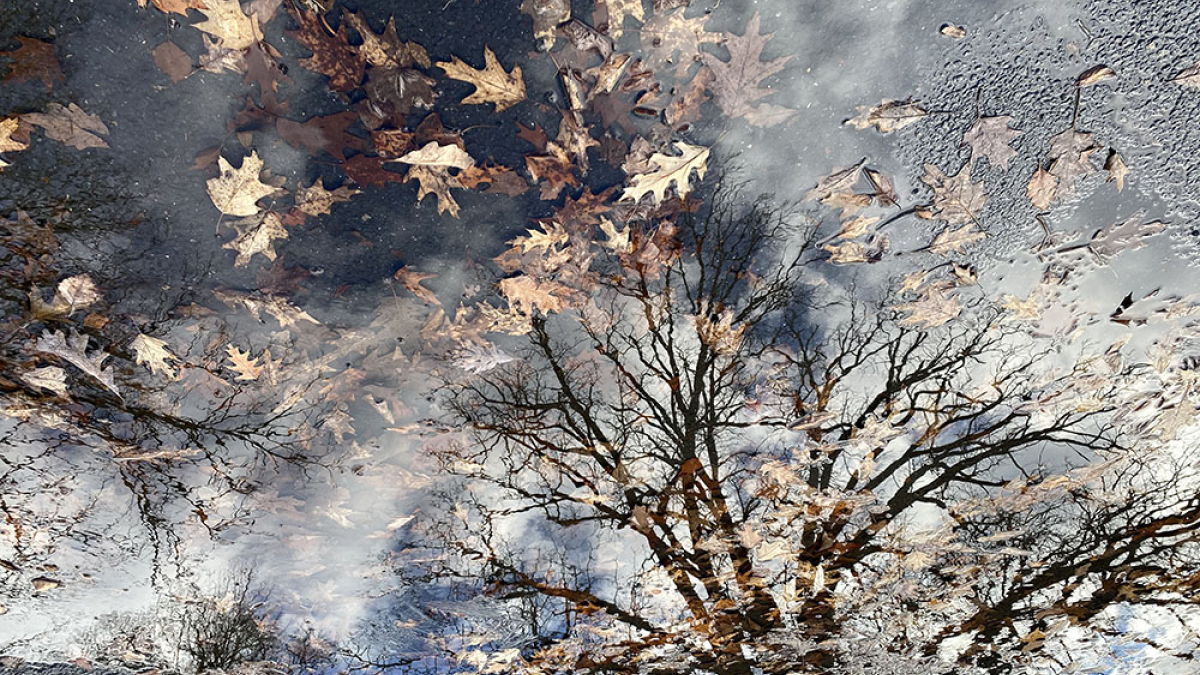 Look Park, December 4, 2022