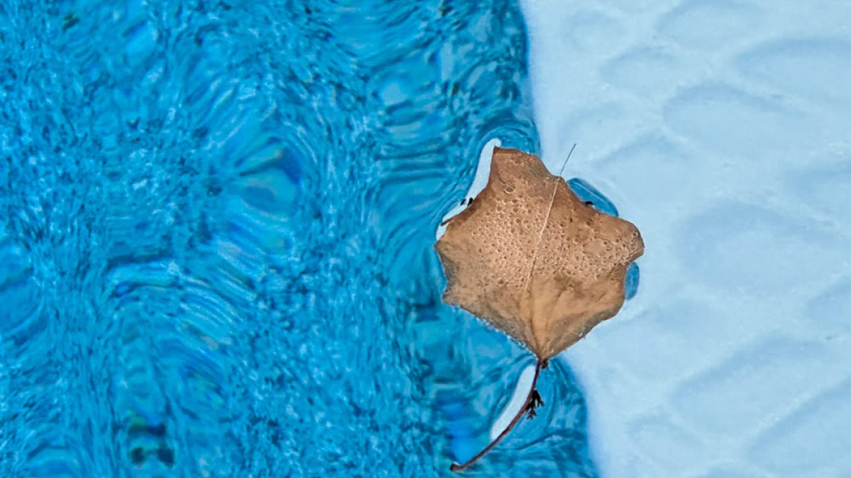 Fairfield Floater © Dave Madeloni