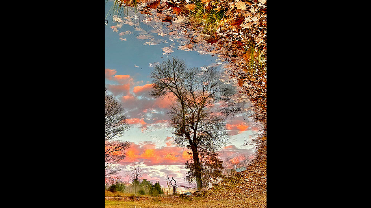 Look Park Sunrise, January 21, 2024 © Dave Madeloni