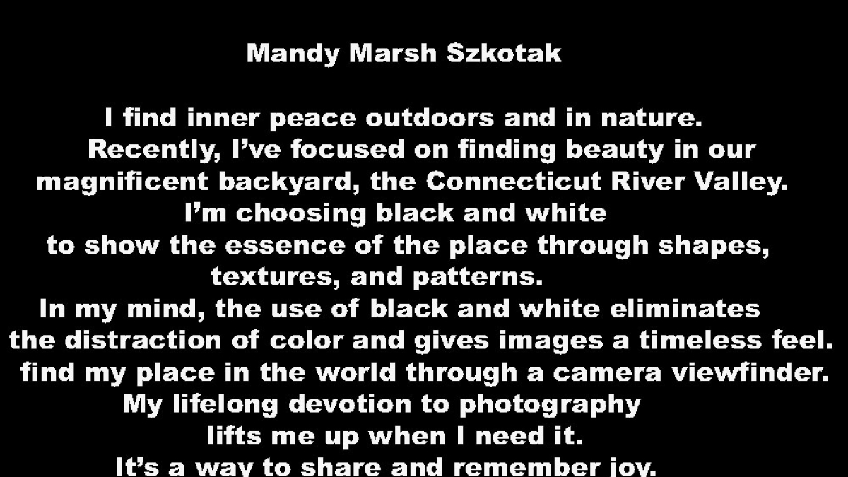 Mandy Marsh Szkotak Artist Statement