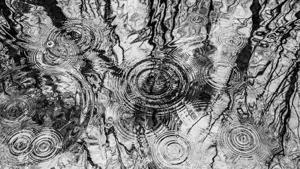 Vernal Pool © Mandy Marsh Szkotak