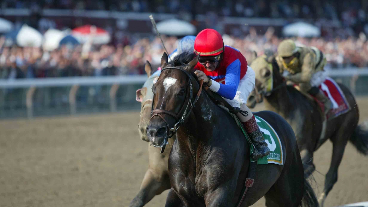 Medaglia d Oro with Jerry Bailey up wins the 2003 Whitney at Saratoga Race Course by Vincent Dusovic