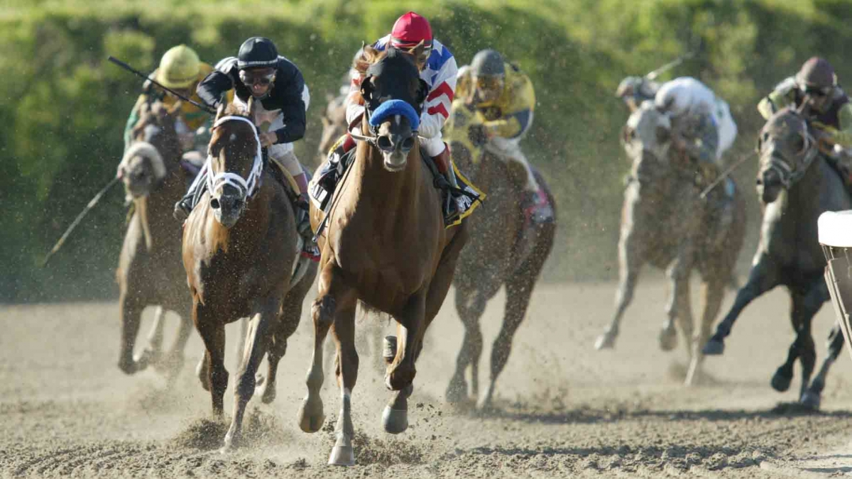 Multiplication with Edgar Prado up heads for home in the 2004 Mike Lee at Belmont Park by Vincent Dusovic