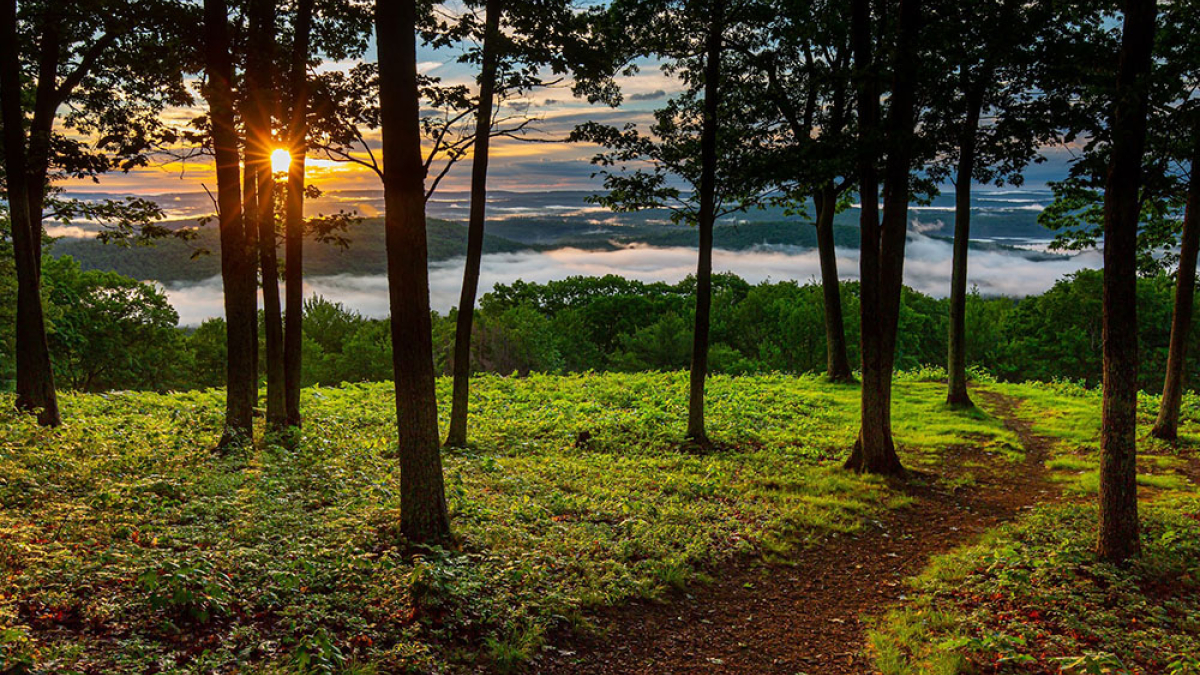 Newe Salem Sunrise © 2022 Mark Lindhult