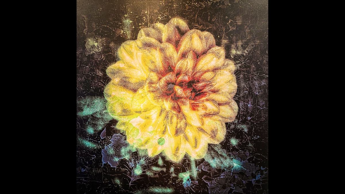  you look nebulous, dahling by Nikki Gamble