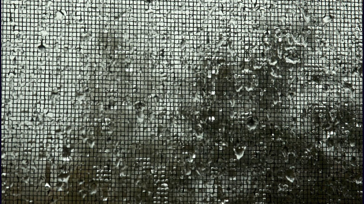 October Rain, Screen © Julius Lester only $300