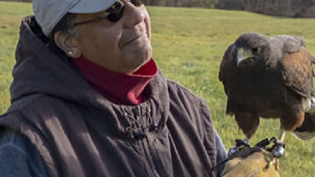 Pat Crutchfield with Harris's Hawk