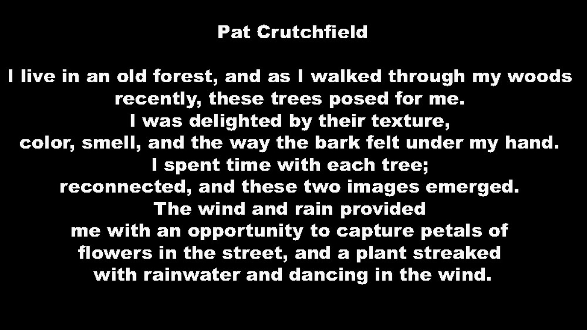 Pat Crutchfield Artist Statement