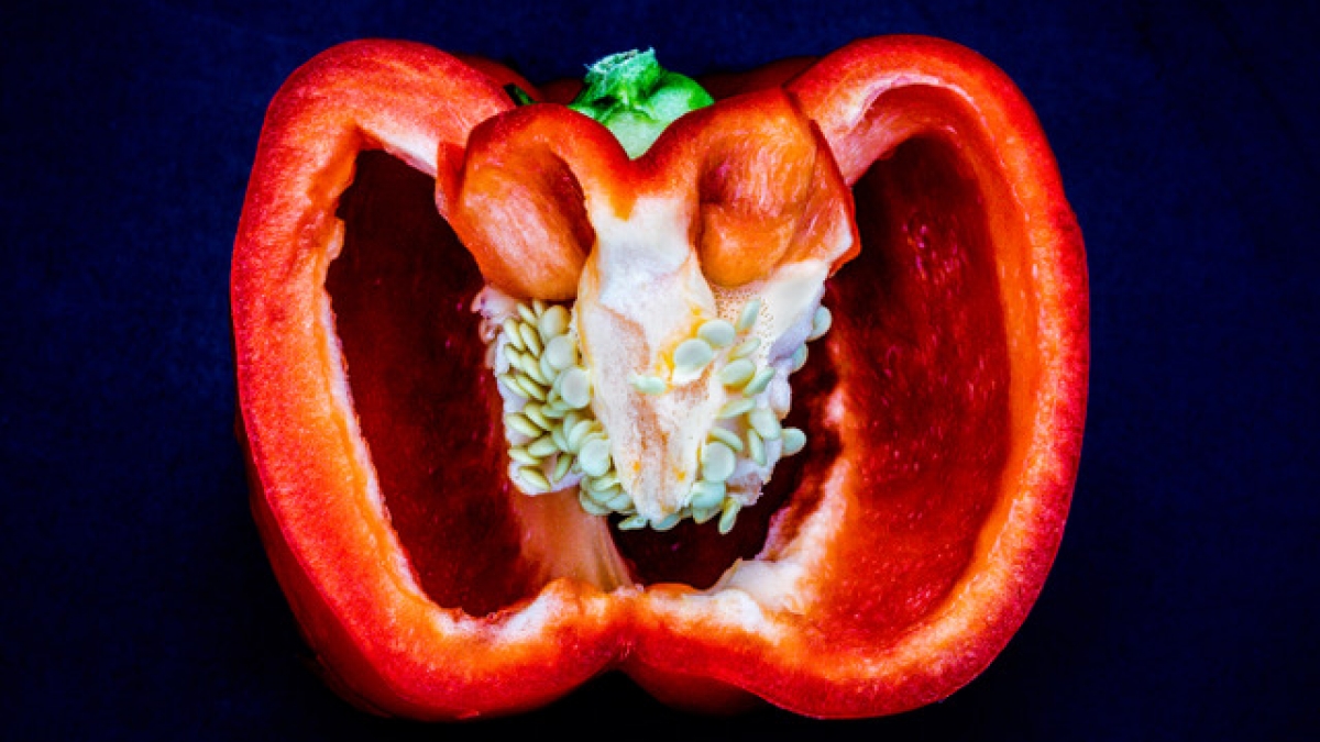 Pepper 2 ©Dot Barnard, 2018