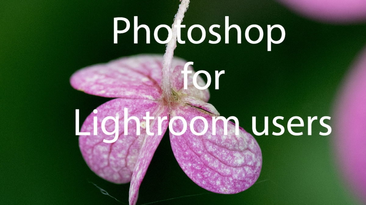 Photoshop for Lightroom Users