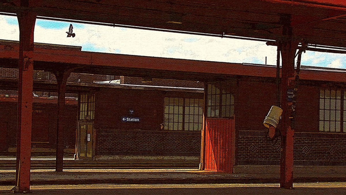 Pigeon,Train Platform, Springfield , MA © 2003 Julius Lester only $300