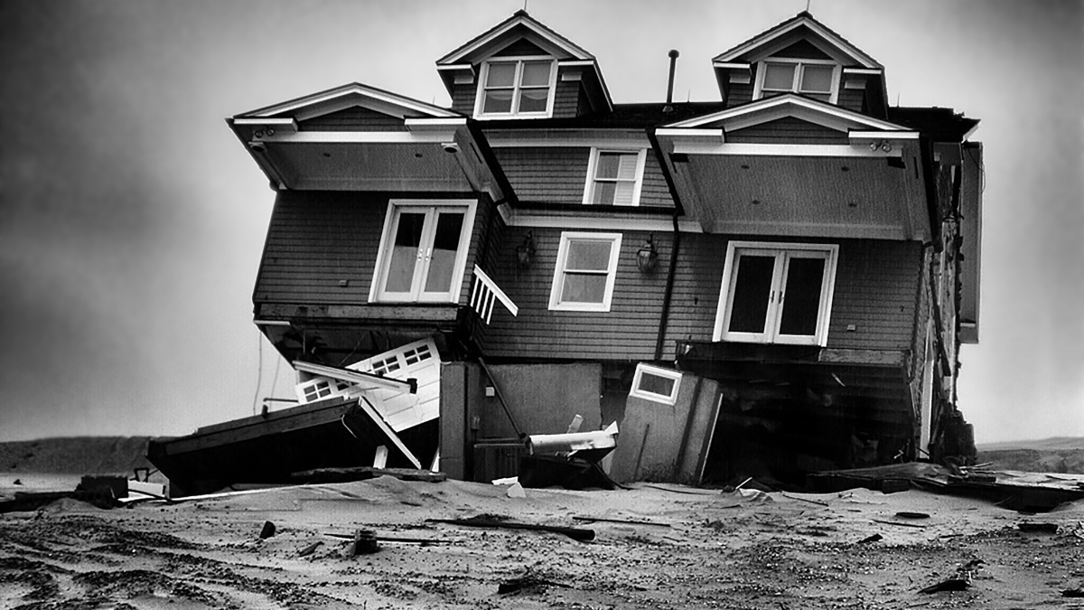 Sandy © Darren Port