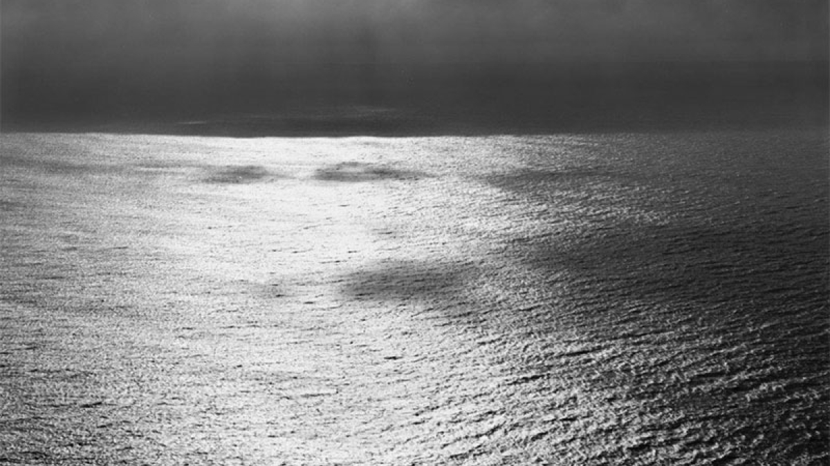 Point Lobos © Simeon Posen 22