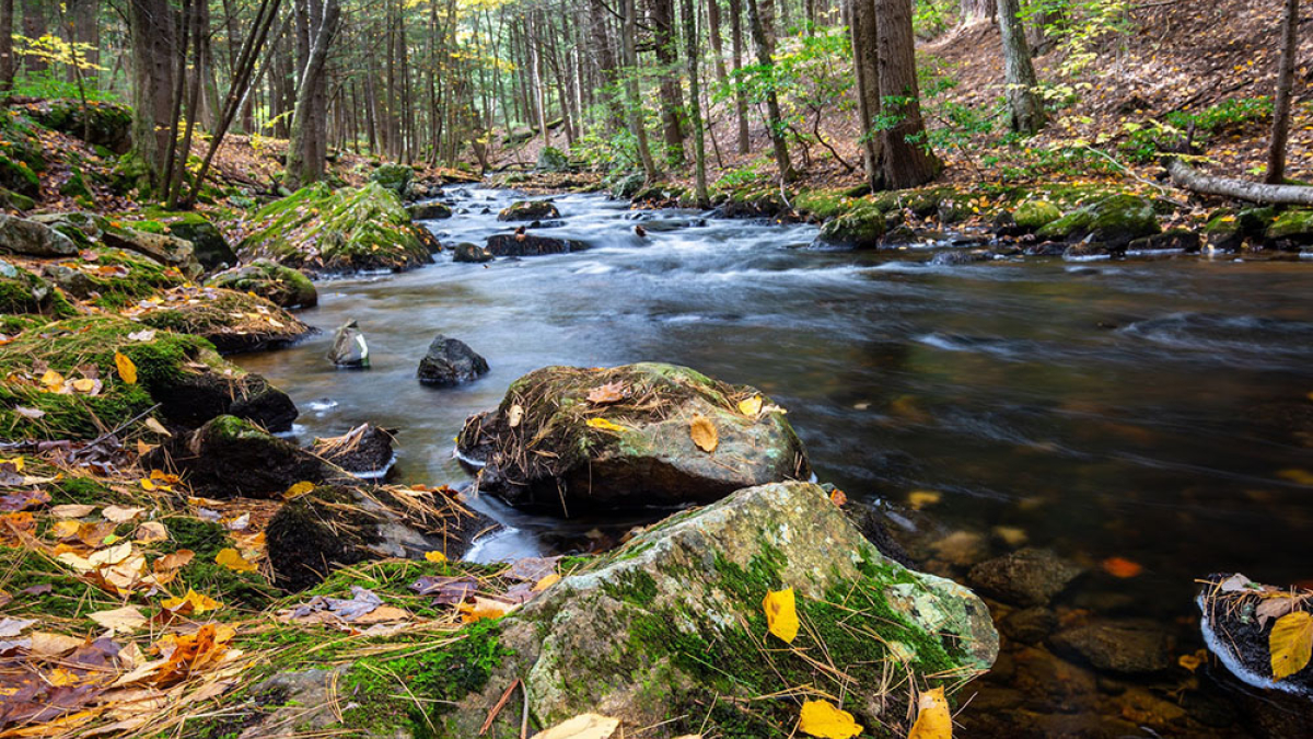 Quabbin © 2022 Mark Lindhult