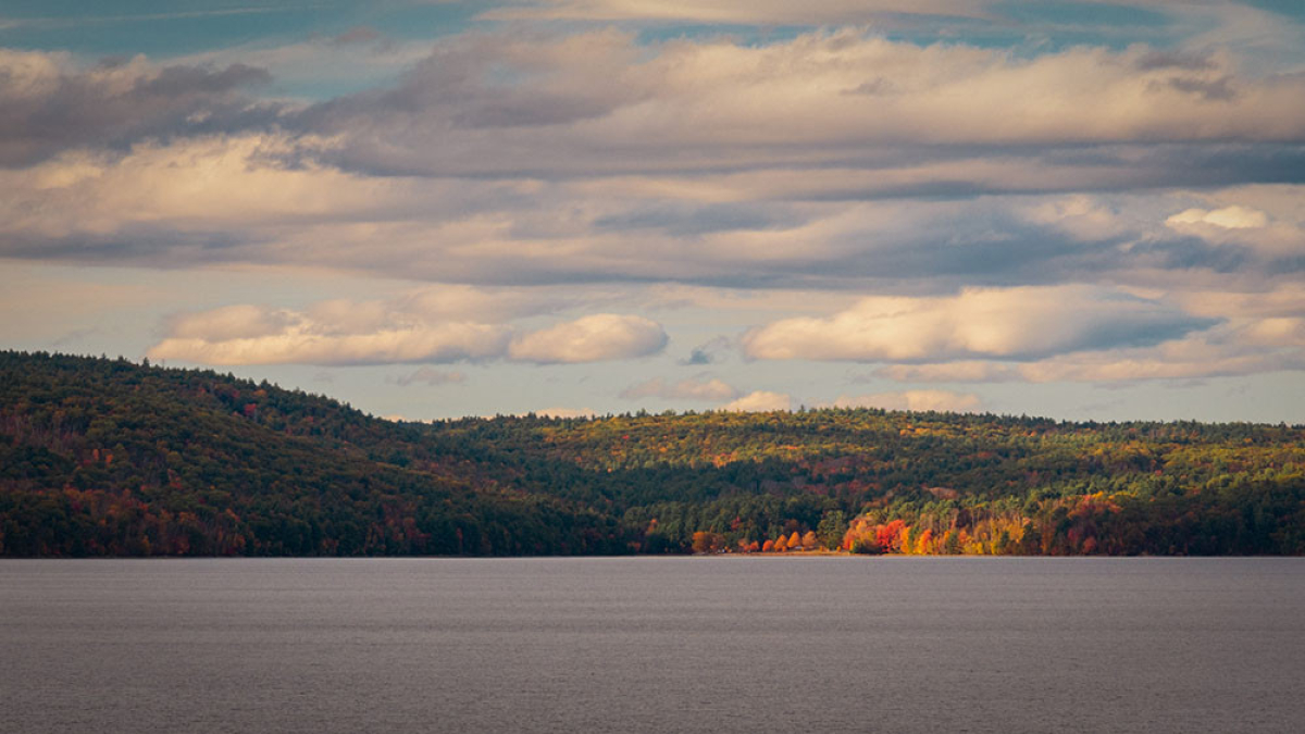 Quabbin Reservor, Autumn © 2021 Rosemary Polletta