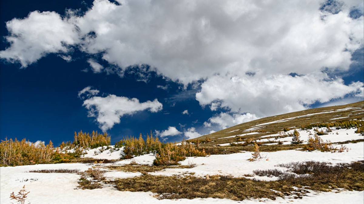 RMNP Tundra © 2022 Joyce Doty