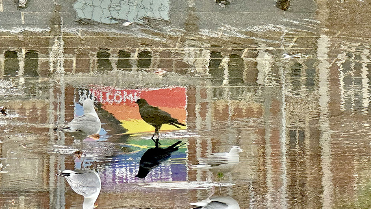 Reflection 610 © Dave Madeloni