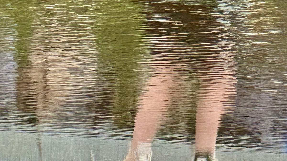 Reflection 616 © Dave Madeloni