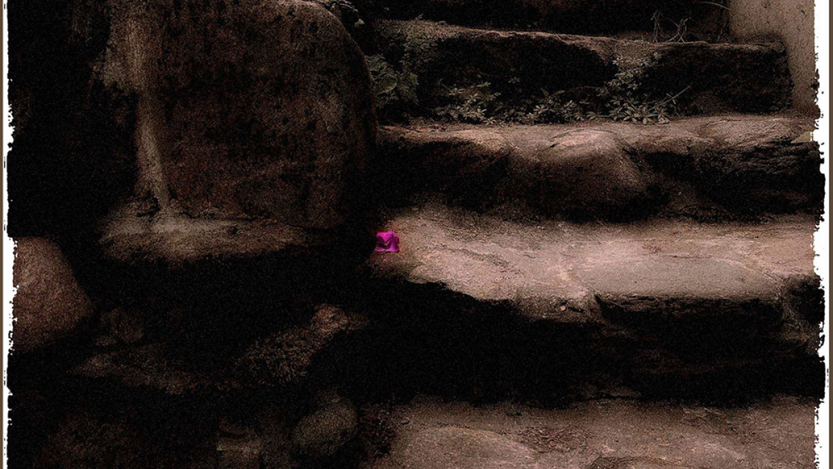Rhododendron, Home Stairs © Julius Lester   only $300