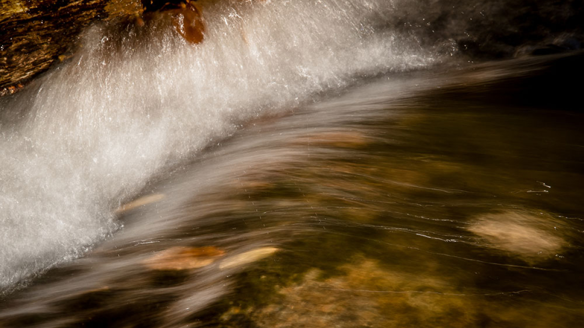 Rushing Water © 2022 Rosemary Polletta