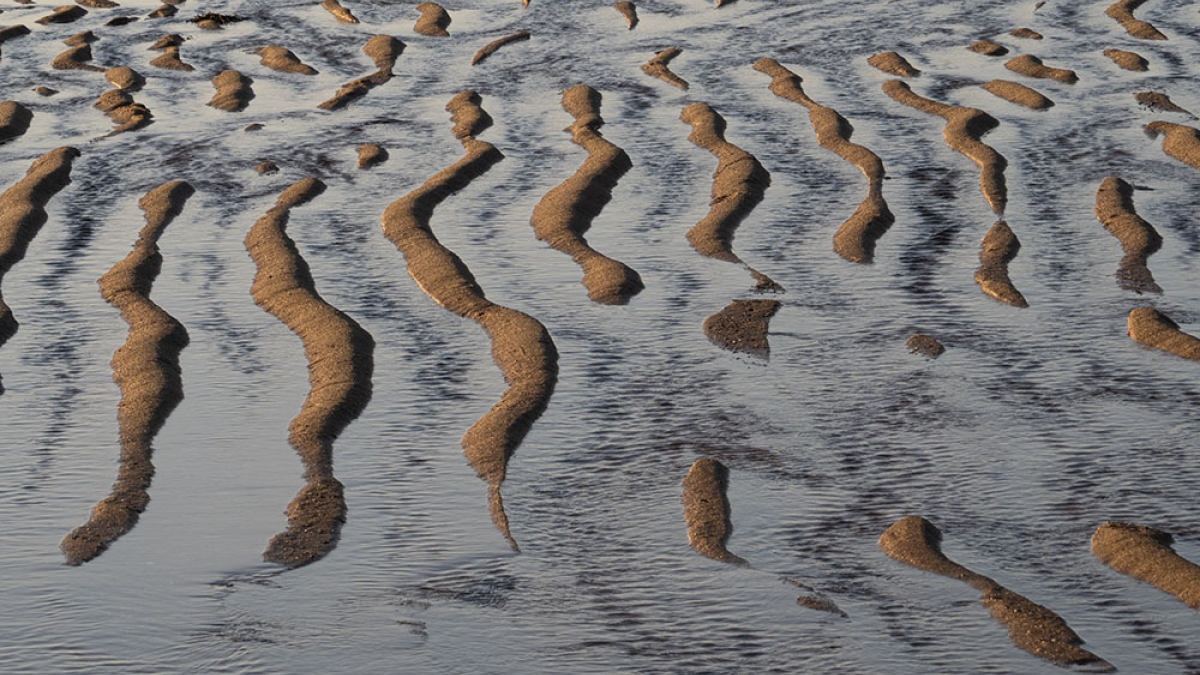 Herring Cove © Steve Schmidt
