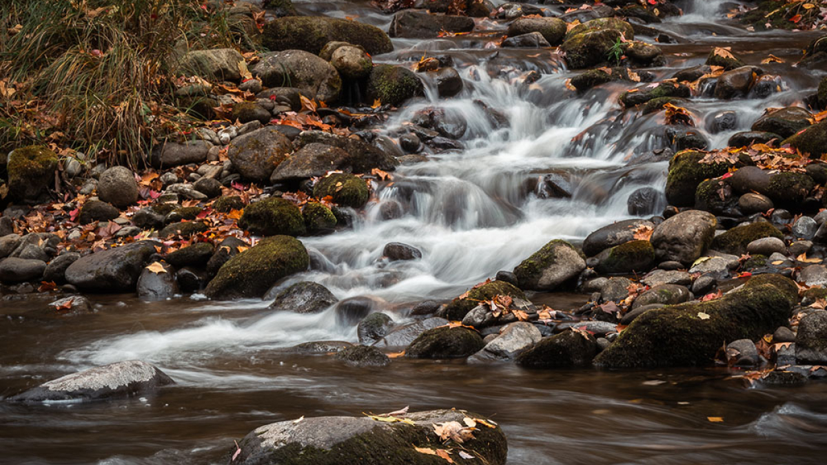 Small Water Flow © 2022 Rosemary Polletta
