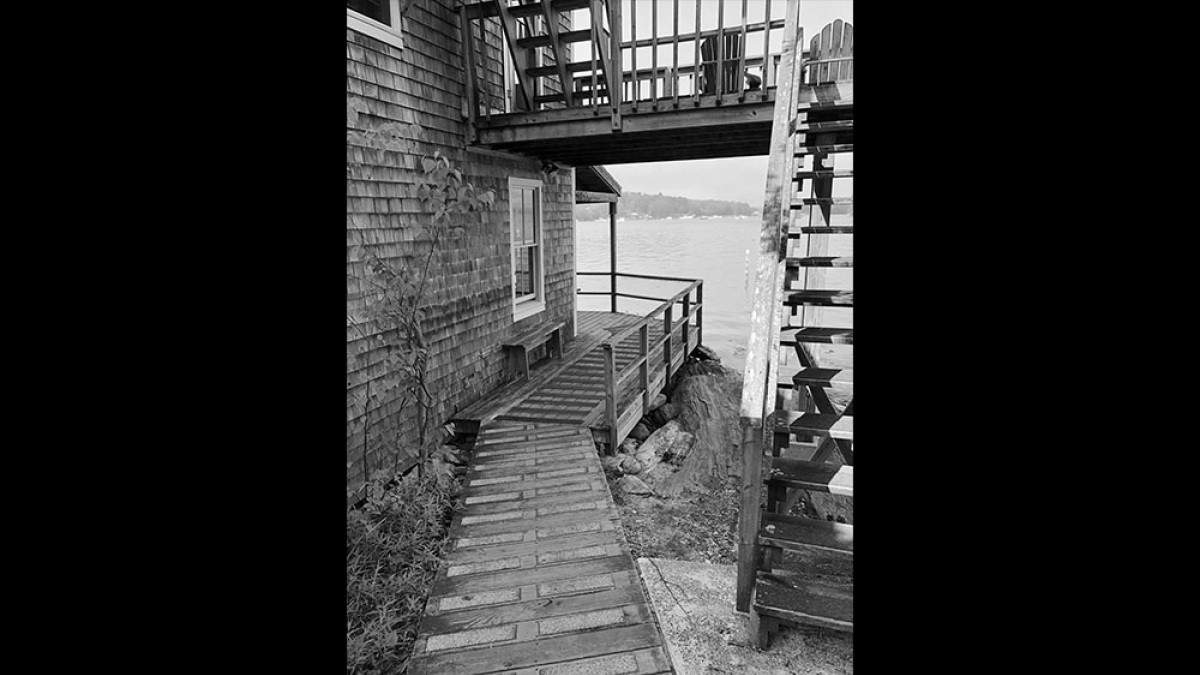 Dawn Smith winning image © 2019 Dawn Smith