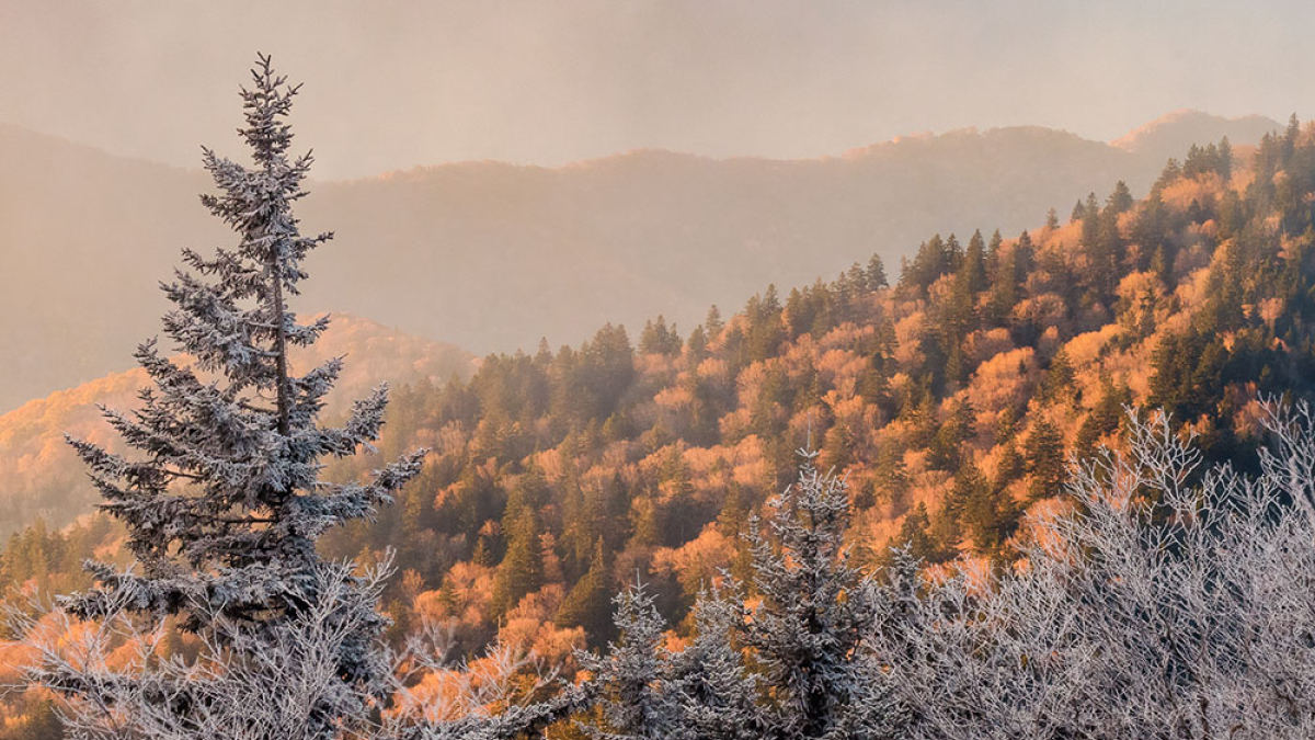 Snow Before Sunrise © Rosemary Polletta