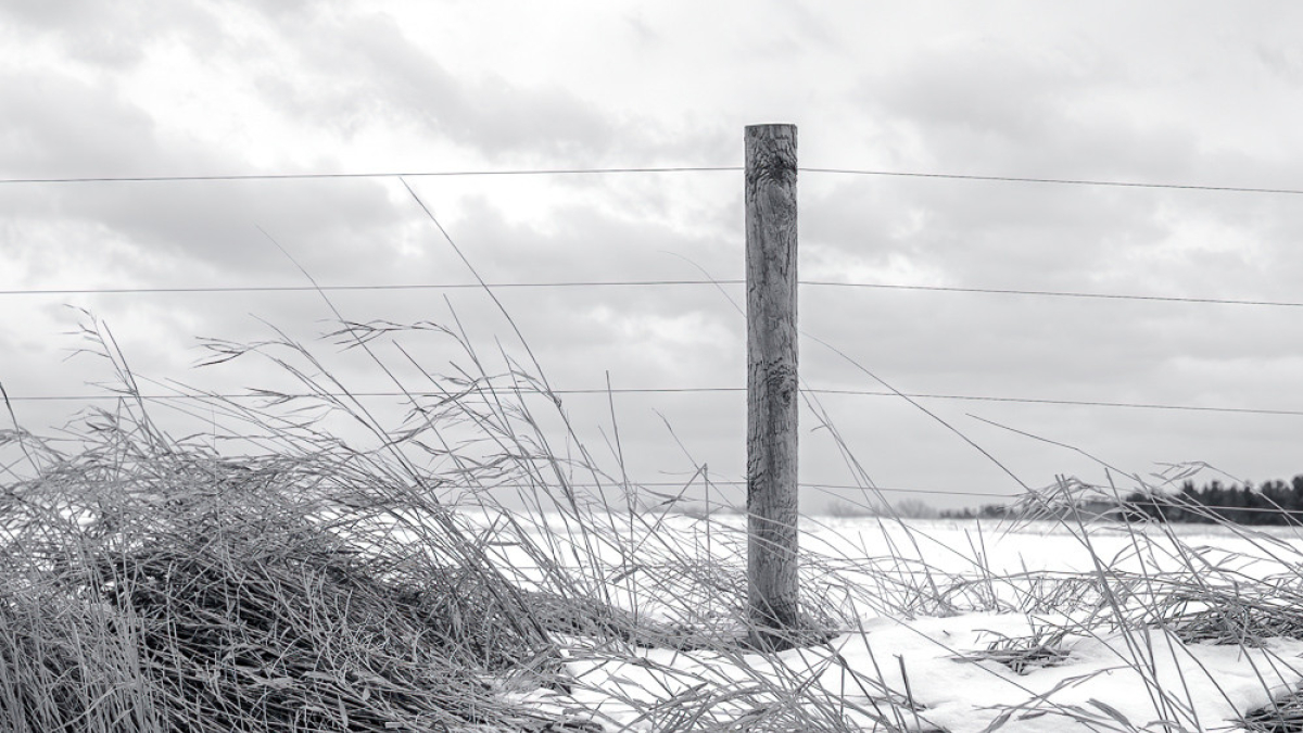 Snow Fence © 2021 Marc St. Onge