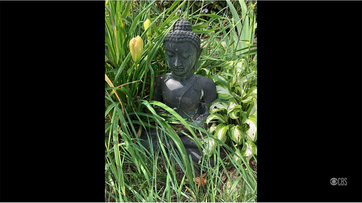 1st Place Winner, Maureen Solomon, Monson