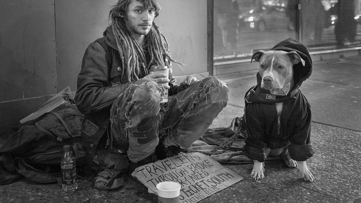 Going South © Bob Solosko, 2016