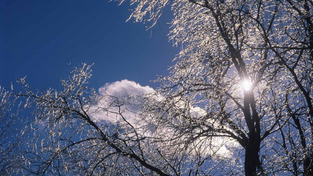 First Winter, Southampton © 1999 Robert Floyd